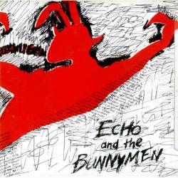 Echo And The Bunnymen : The Pictures on My Wall